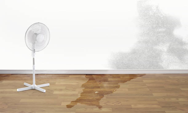 Best Water damage restoration insurance claims  in Calabash, NC