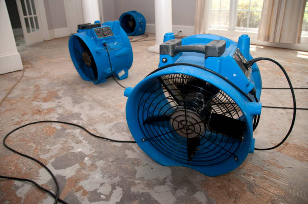 Best Flooded house restoration  in Calabash, NC